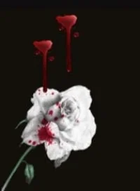 Hoa Tình Đẫm Máu