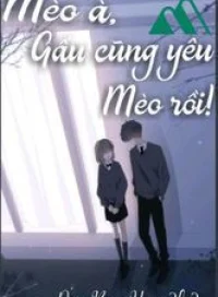 Mèo À Gấu Cũng Yêu Mèo Rồi